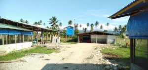 Kandang Ayam di Limboto Diduga Tak Kantongi Izin dan Menimbulkan Bau Busuk