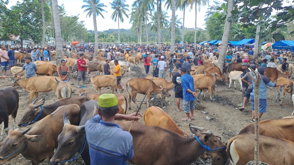 Pedagang Sapi Minta Pasar Hewan di Desa Tridharma Diadakan Dua Kali Dalam Seminggu
