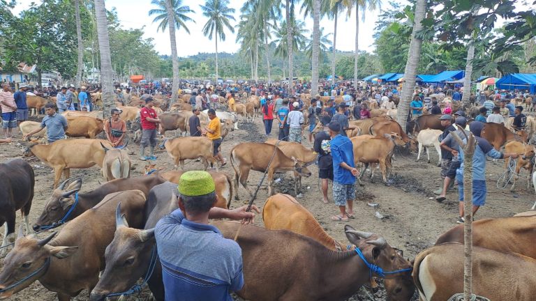 Pedagang Sapi Minta Pasar Hewan di Desa Tridharma Diadakan Dua Kali Dalam Seminggu