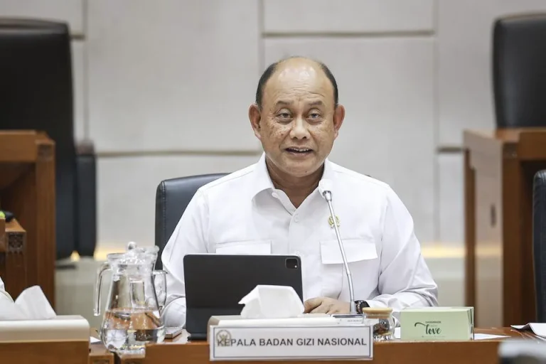 Dr. Ir. Dadan Hindayana, Kepala BGN . Foto (Istimewa)