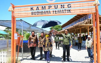Destinasi Agrowisata Gorontalo Muncul dari Sisa Gelar PENAS XVII Limboto