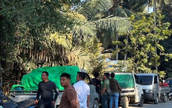 Geger! Pikap Milik Anggota TNI Angkut 80 Galon Solar Bersubsidi ke Kawasan PETI Pohuwato