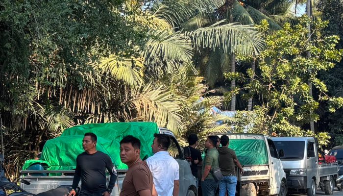 Geger! Pikap Milik Anggota TNI Angkut 80 Galon Solar Bersubsidi ke Kawasan PETI Pohuwato
