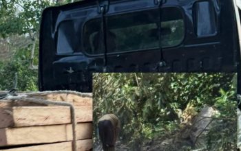 Mobil Pick Up Di duga Angkut Kayu Ilegal, KPH III Pohuwato Diminta Bertindak